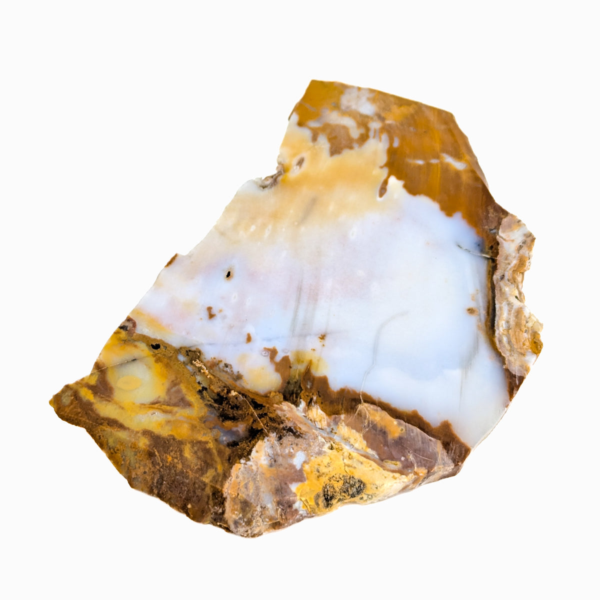 Lapidary slab – slab with white band