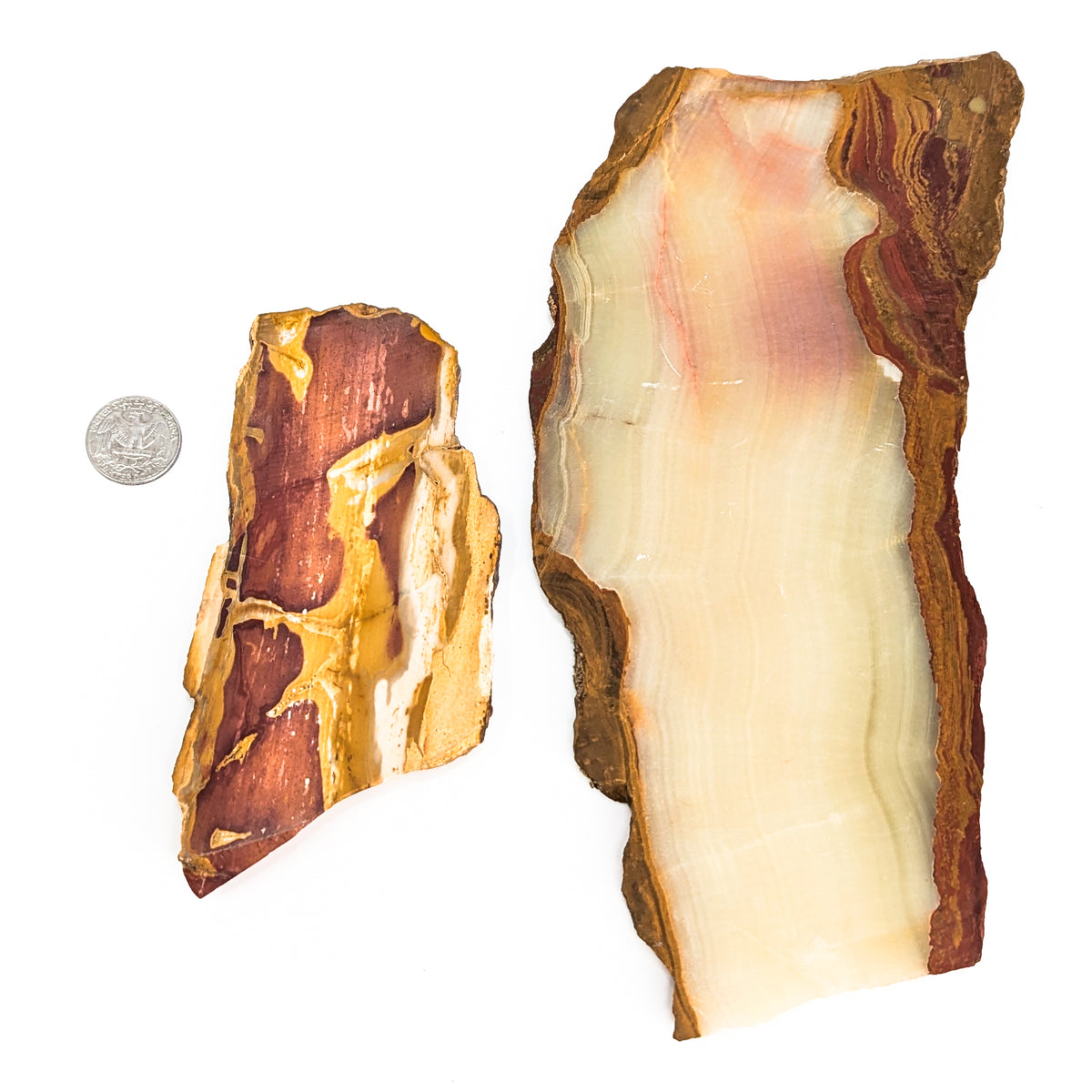 Lapidary slab – slabs beside a coin