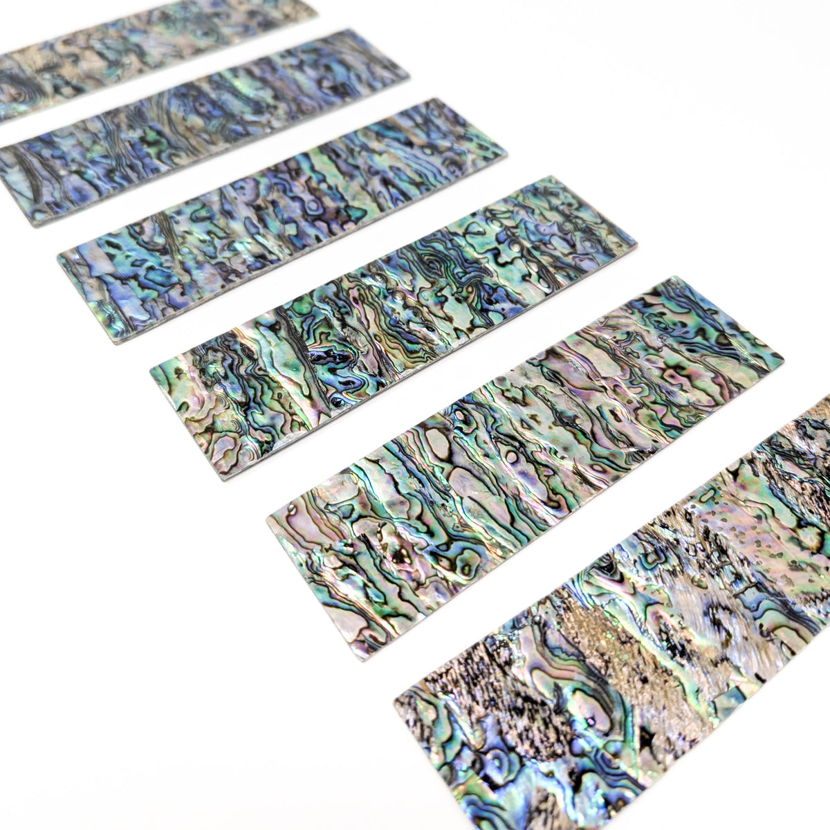 Abalone shell sheet blank from New Zealand – row of sheets
