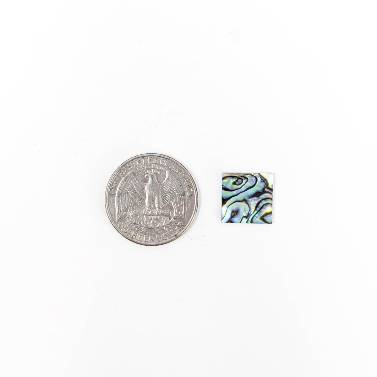 Abalone Shell square sheets.