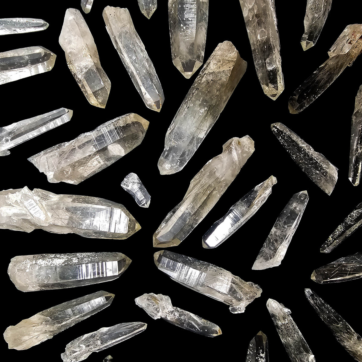 Actinolite quartz from Harrison Lake, BC, Canada – many crystals laid out in a fan