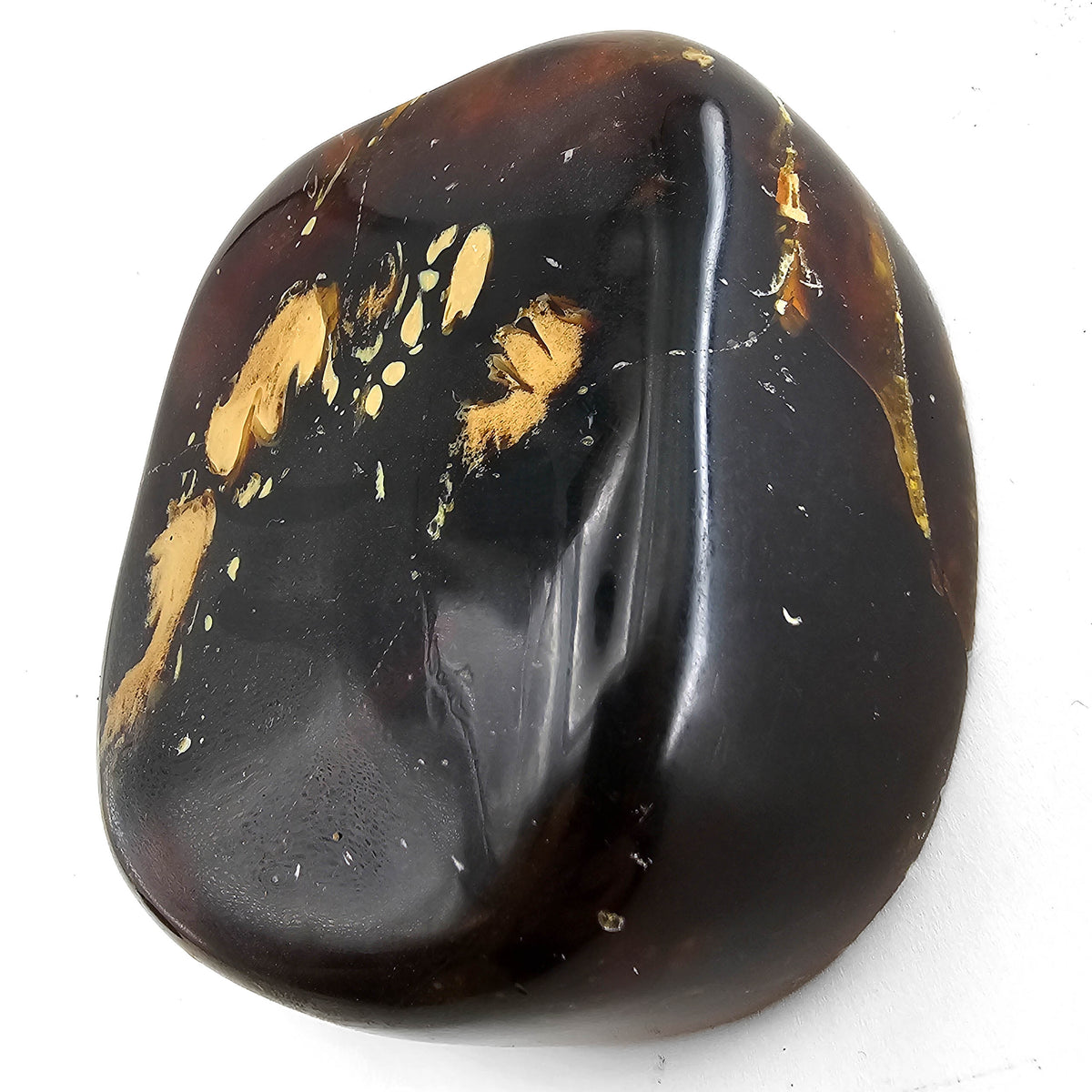 Polished Amber fossil specimen from Sarolangun Mine area, Jambi Province, Sumatra, Indonesia.