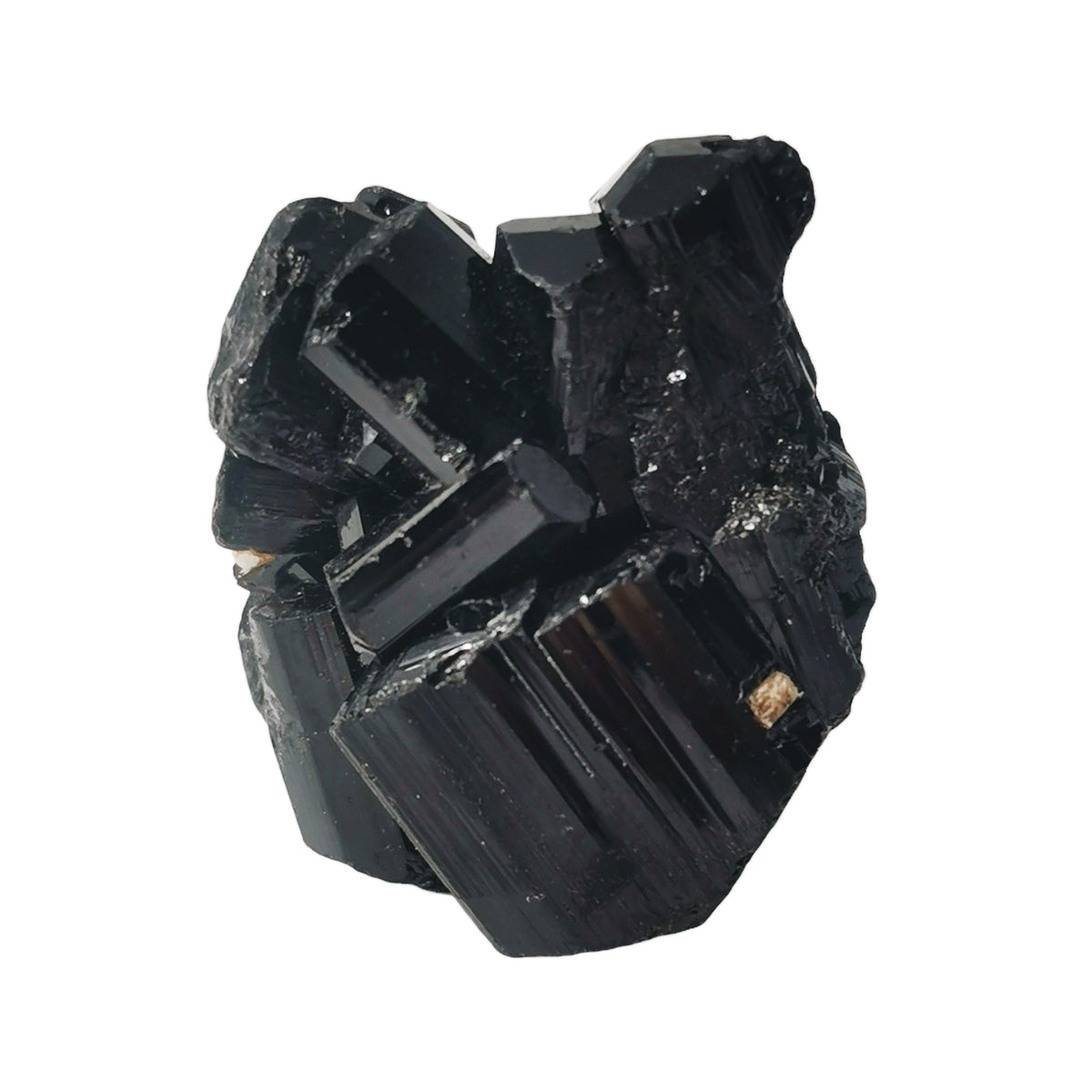 Black Tourmaline specimen, a tourmaline group mineral, from Afghanistan.