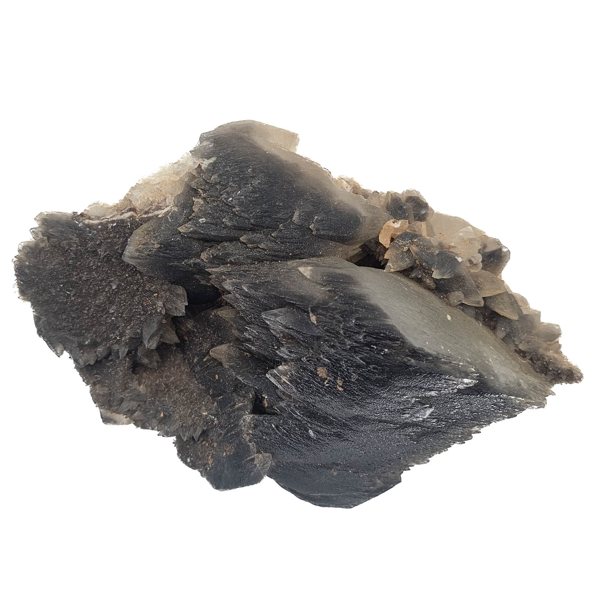 Black Dogtooth Calcite - Specimen