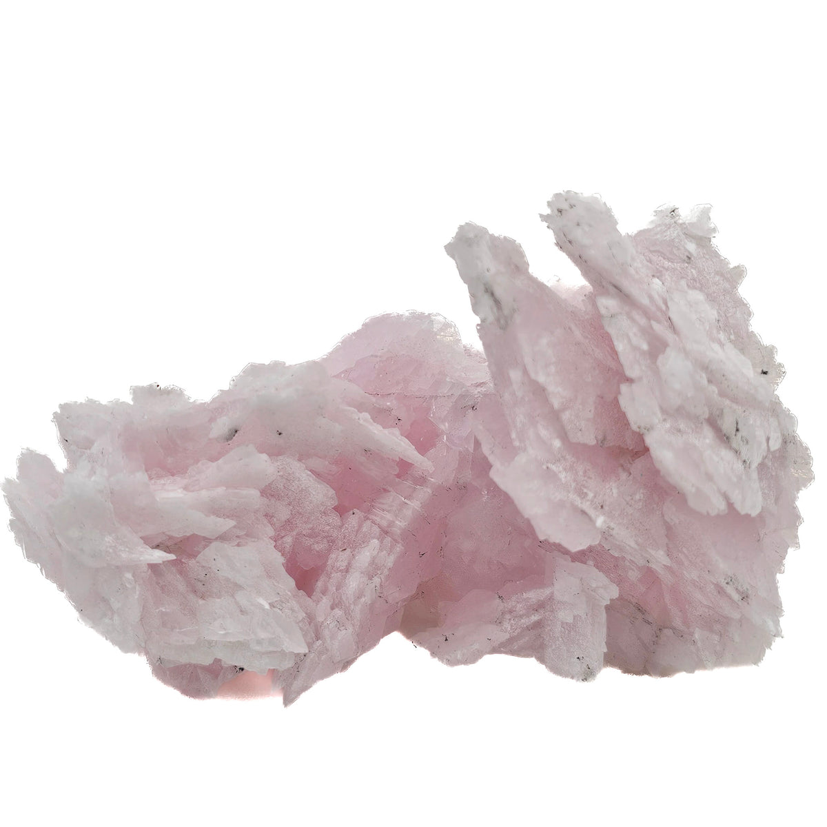 Pink Manganese Calcite mineral specimen, calcium carbonate, from Vtoroy Sovetskii Mine, Dalnegorsk, Primorsky Krai, Russia.