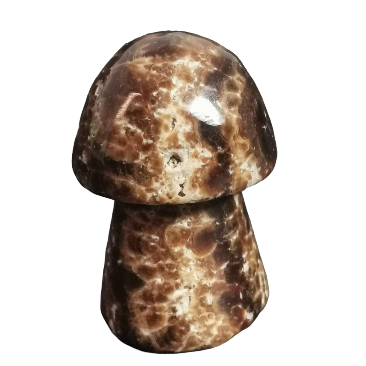 Chocolate Calcite Mushroom carving.