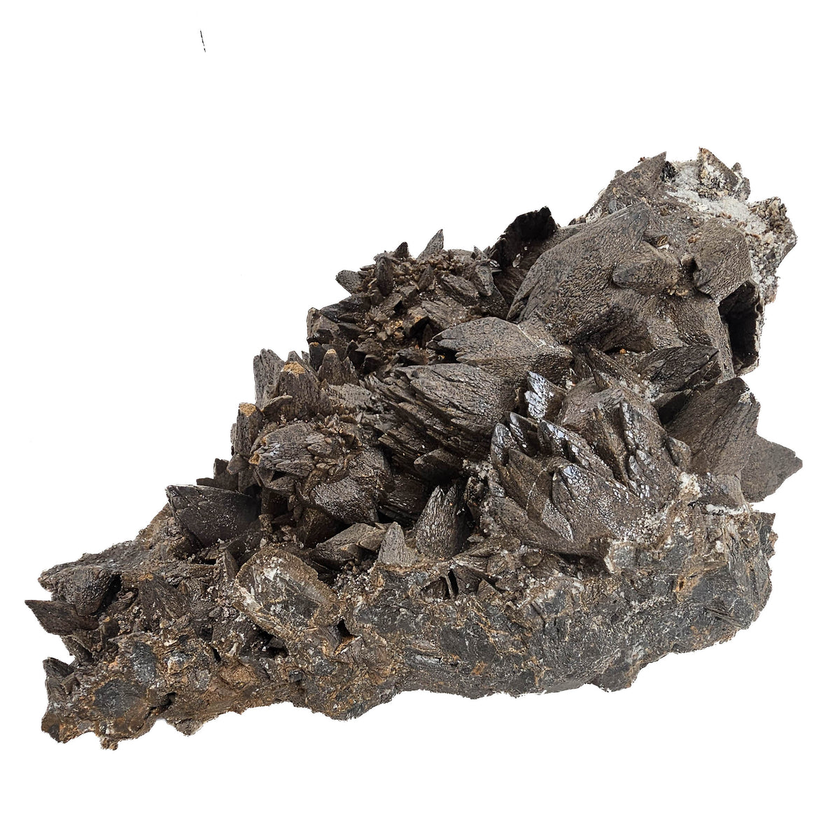 Crowsfeet Calcite - Specimen from Mexico, view 10 of 15