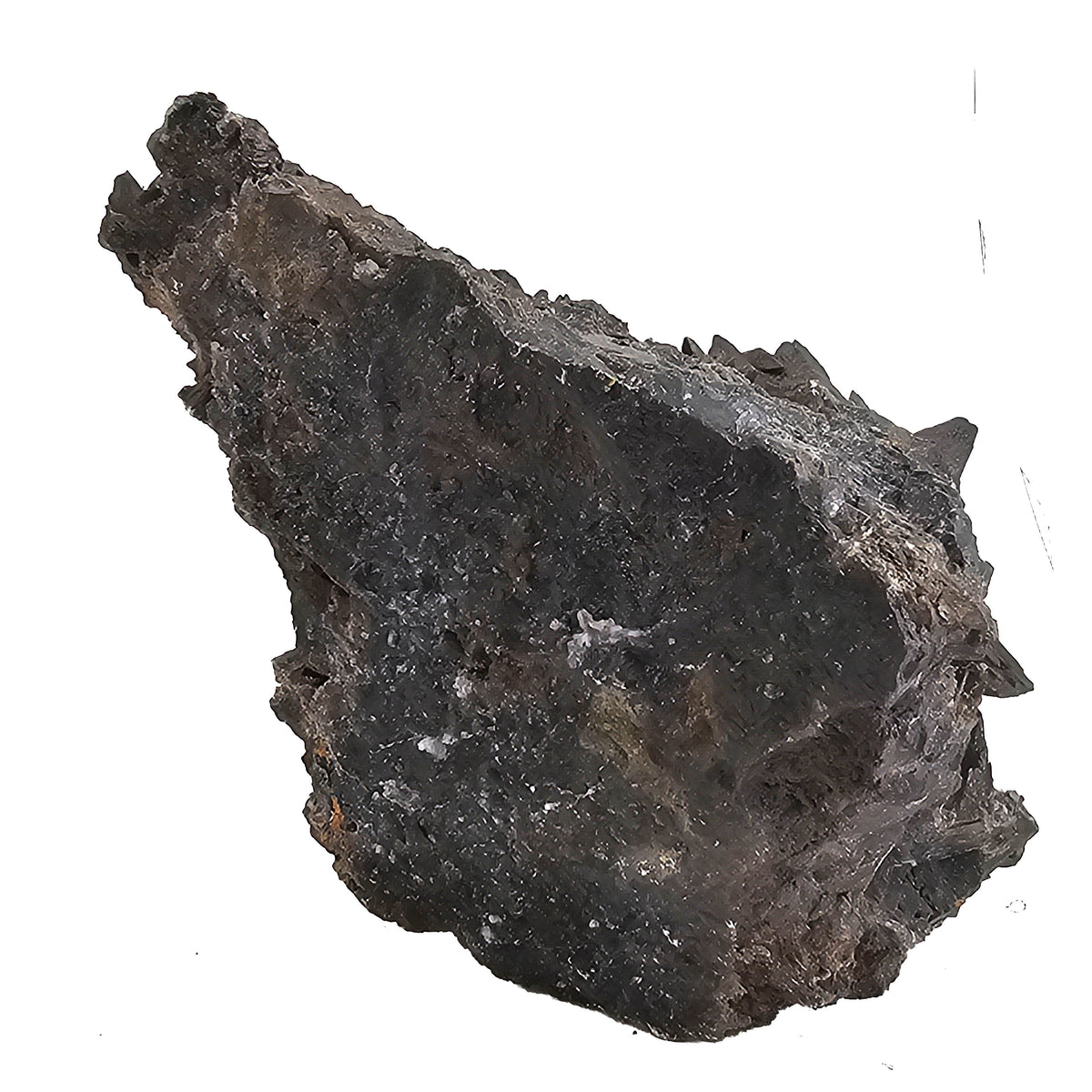 Crowsfeet Calcite - Specimen from Mexico, view 13 of 15