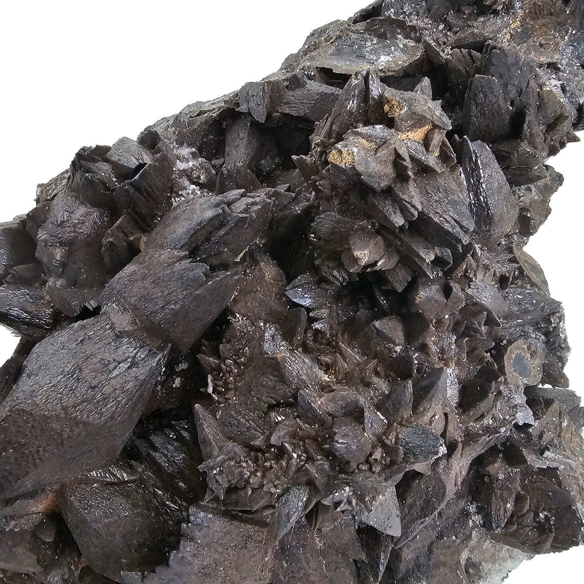 Crowsfeet Calcite - Specimen from Mexico, view 14 of 15