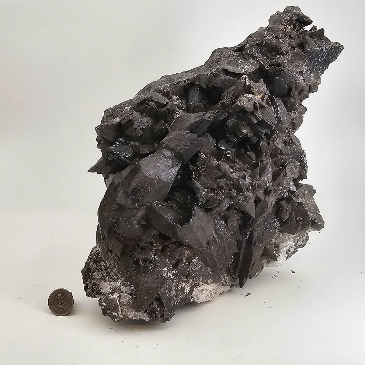 Crowsfeet Calcite - Specimen from Mexico, view 15 of 15