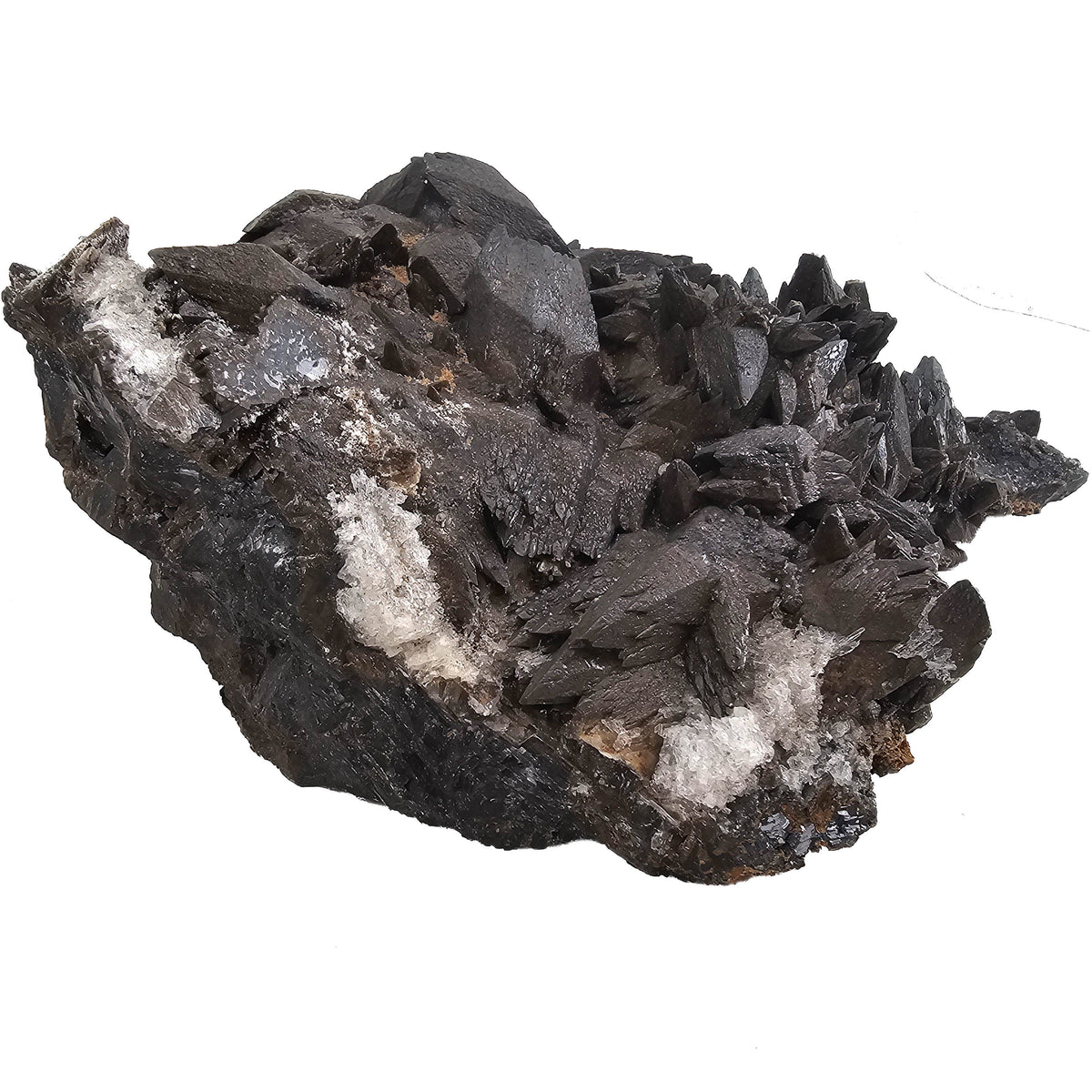 Crowsfeet Calcite - Specimen from Mexico, view 1 of 15
