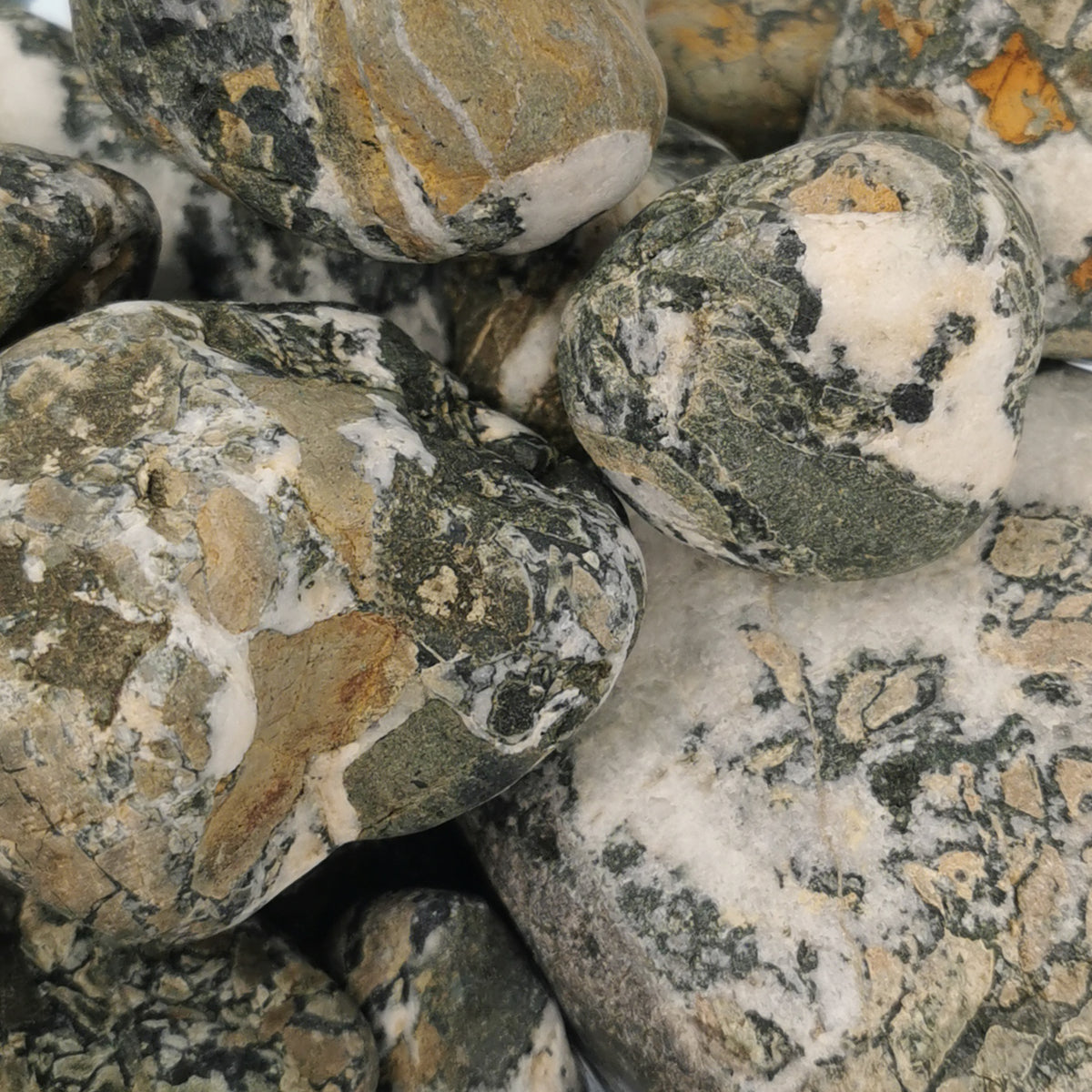 Dallasite rough from Vancouver Island, British Columbia, Canada.