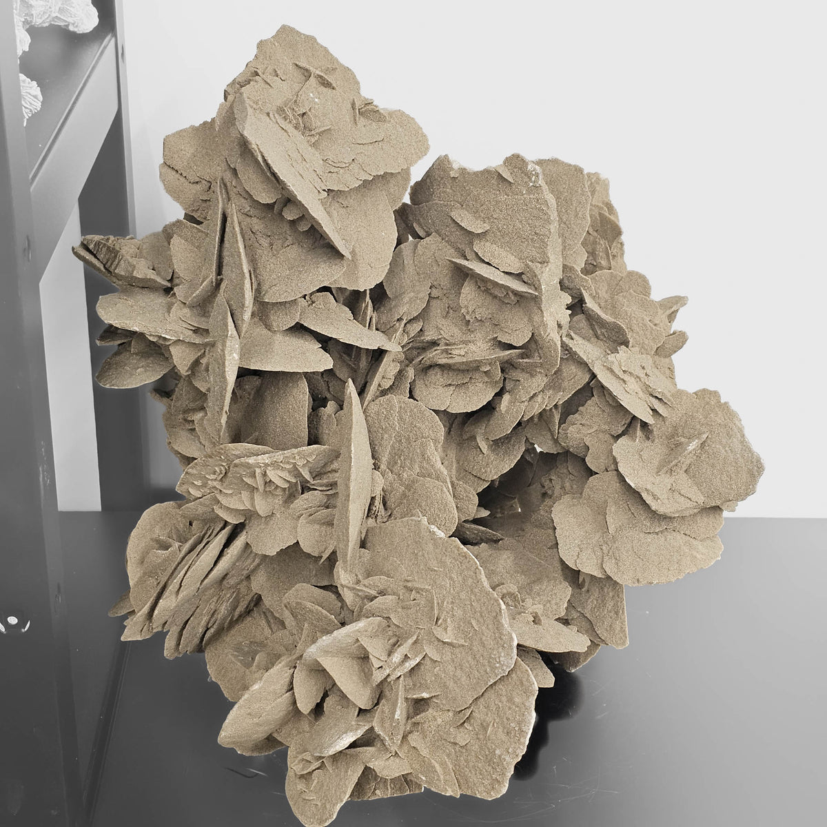 Desert Rose (Gypsum) statement specimen.