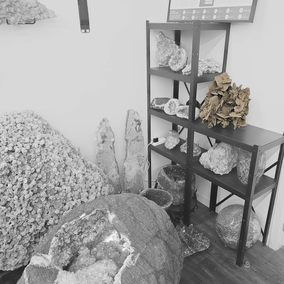 Desert Rose (Gypsum) statement specimen.