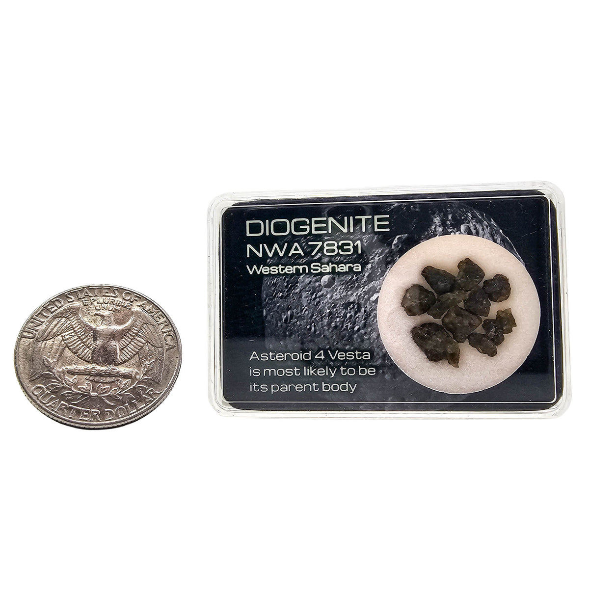 Diogenite NWA 7831 - Mineral - Western Sahara - meteorite