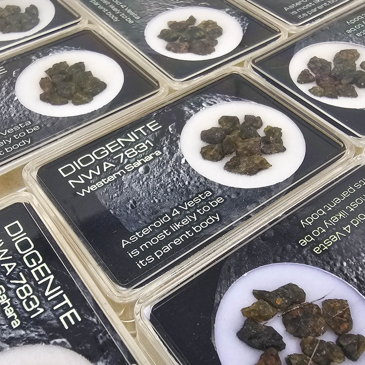 Diogenite NWA 7831 - Mineral - Western Sahara - meteorite