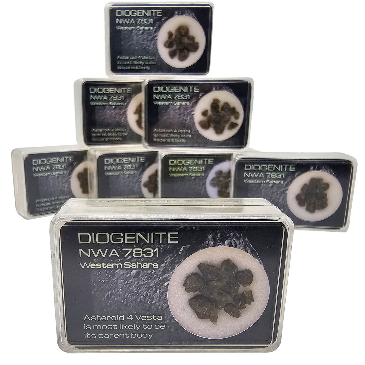 Diogenite NWA 7831 - Mineral - Western Sahara - meteorite