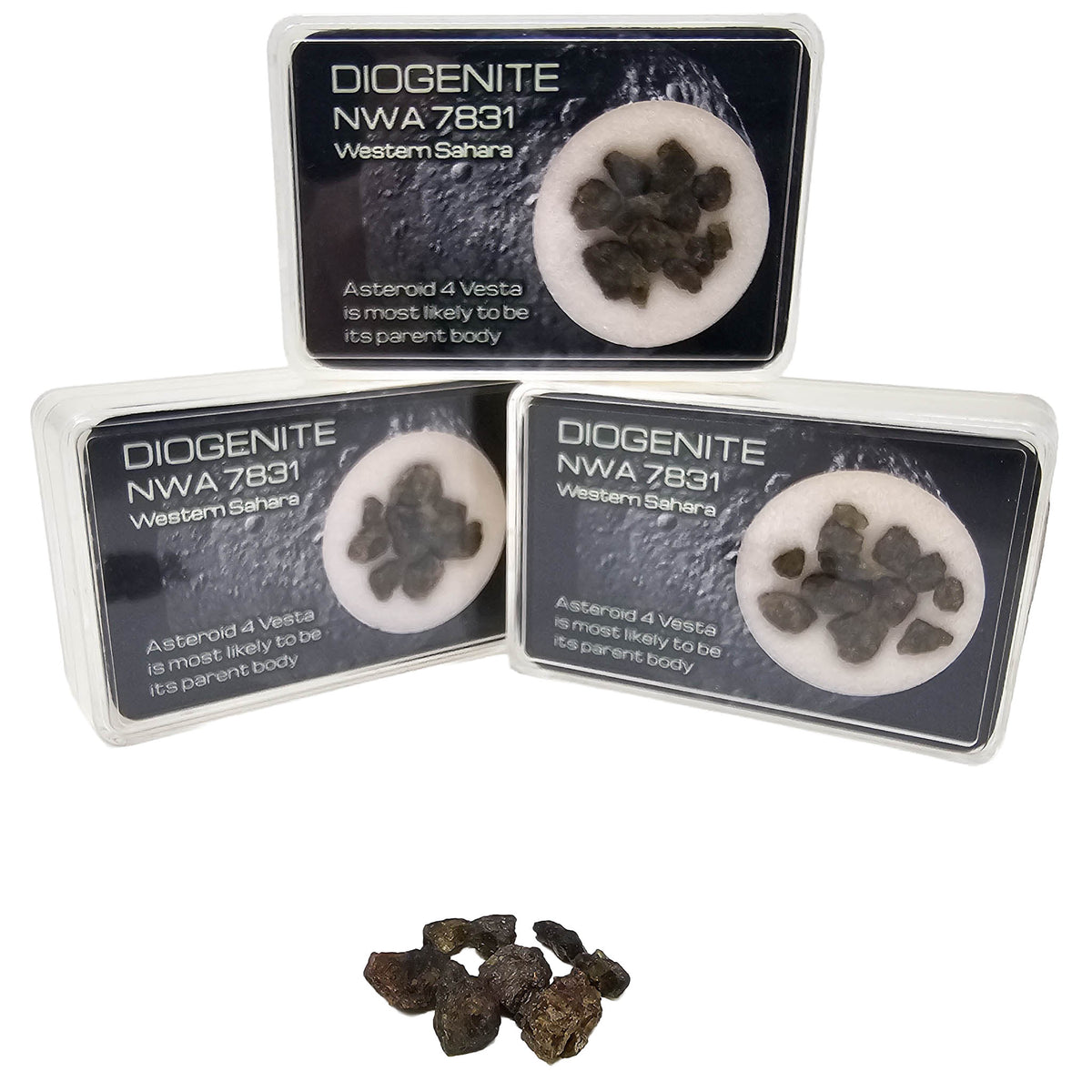 Diogenite NWA 7831 - Mineral - Western Sahara - meteorite