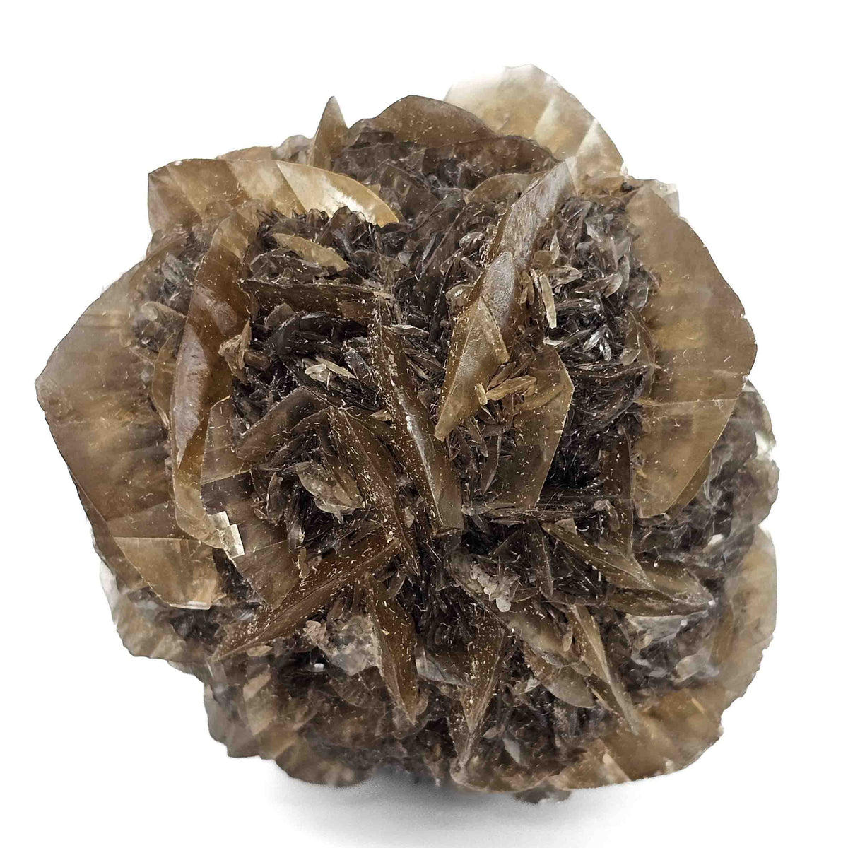 Golden Duck Bill Selenite specimen, a variety of gypsum, from Red River Floodway, Winnipeg, Manitoba, Canada.