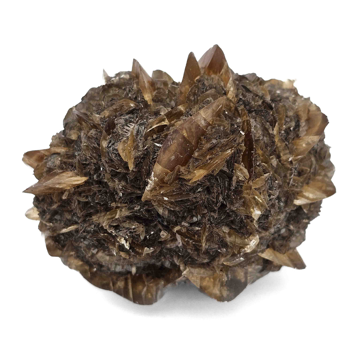 Golden Duck Bill Selenite specimen, a variety of gypsum, from Red River Floodway, Winnipeg, Manitoba, Canada.