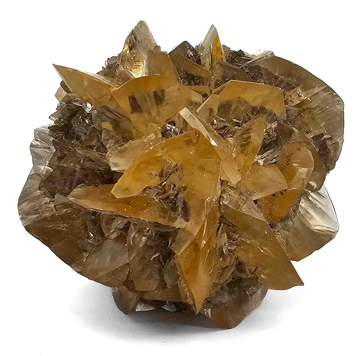 Golden Duck Bill Selenite specimen, a variety of gypsum, from Red River Floodway, Winnipeg, Manitoba, Canada.