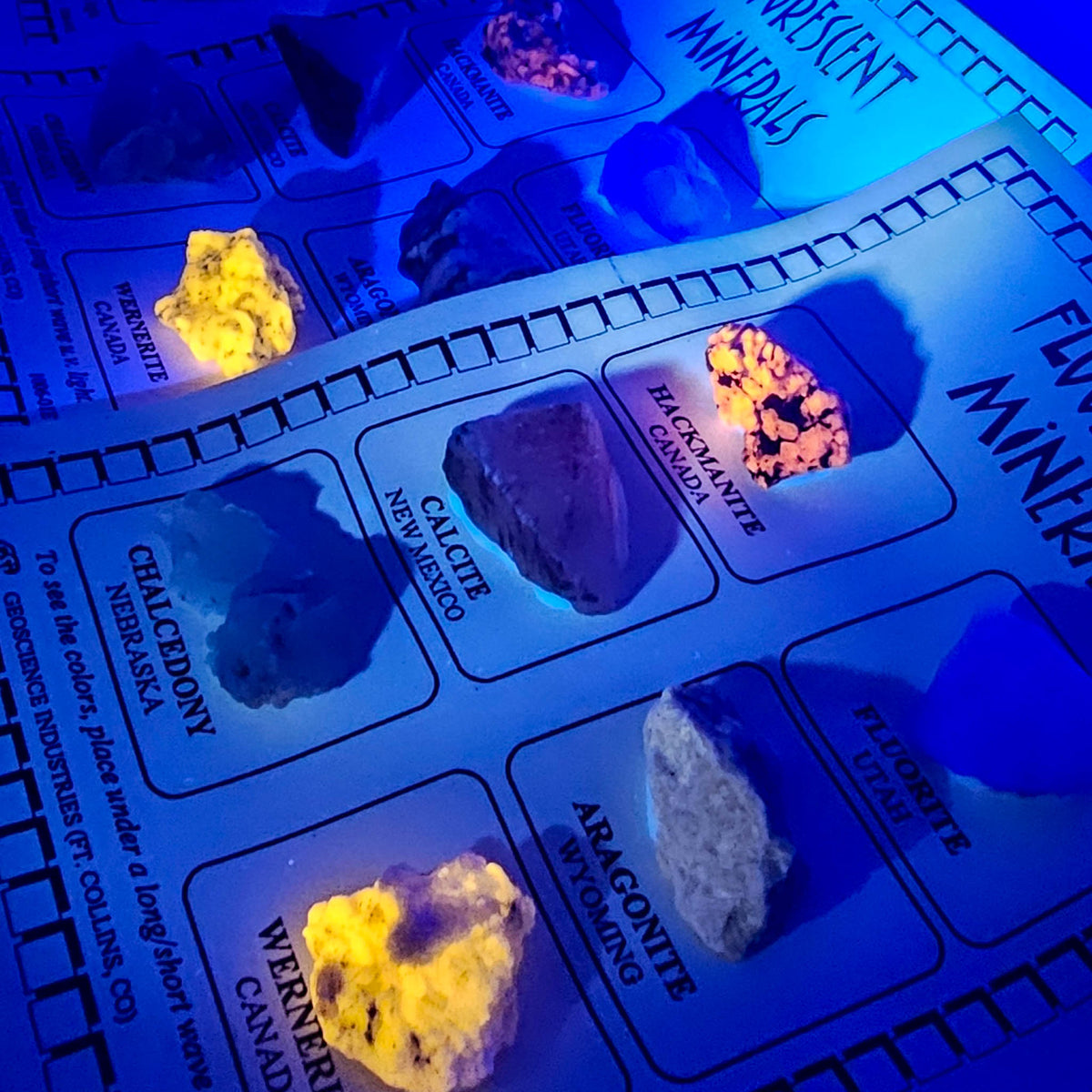 Fluorescent mineral education set – specimens glowing under UV light