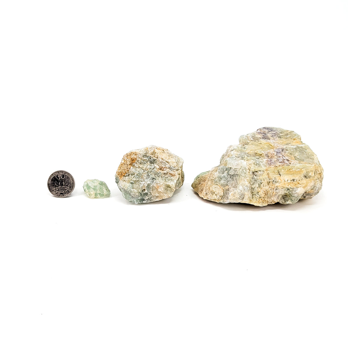 Fluorite rough from Kelowna, BC – size range beside a coin for scale