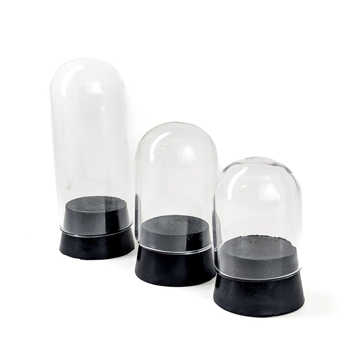 Glass Bell Jar display.