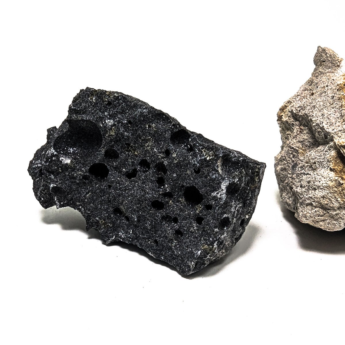 Igneous rock education set – vesicular rock, close view