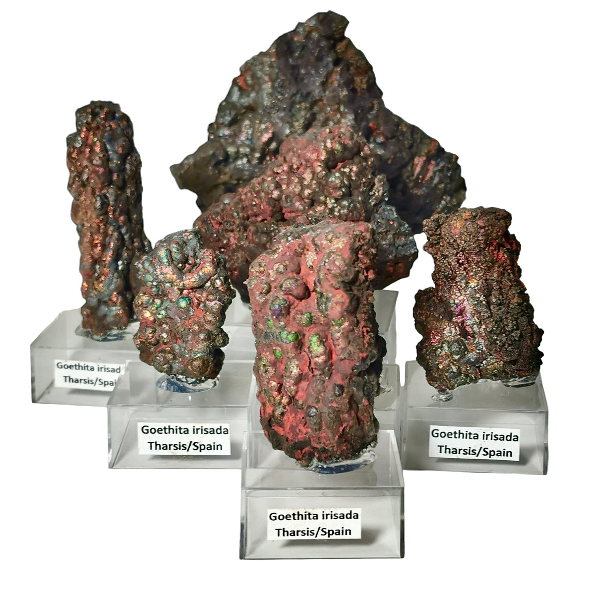 Iridescent goethite from Tharsis, Spain – five specimens on labelled stands