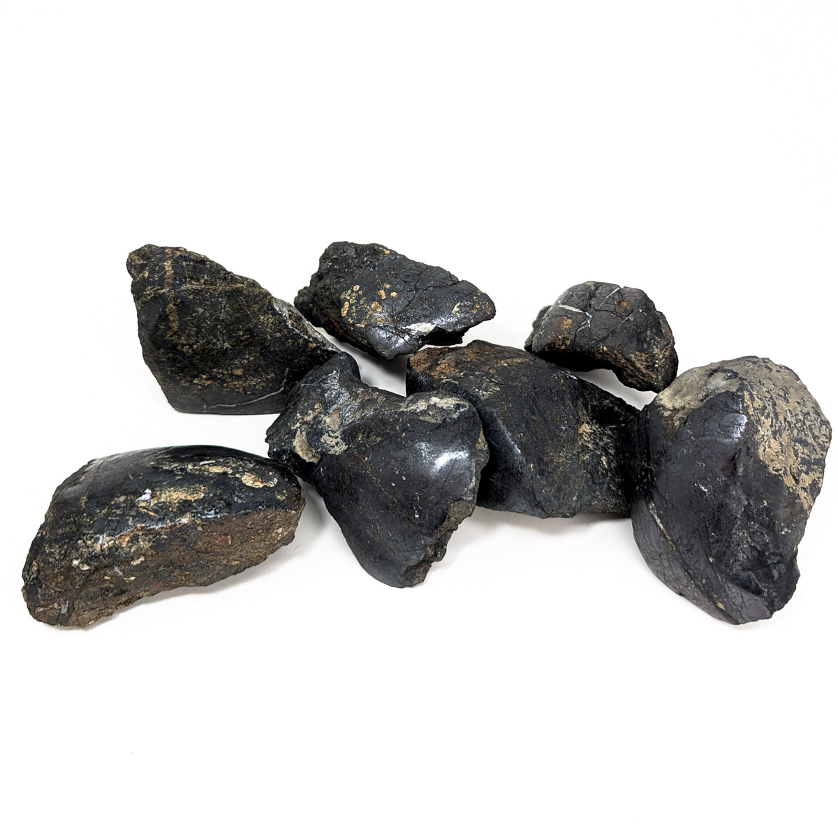 Magnetite with polished face from Vancouver Island – group of pieces