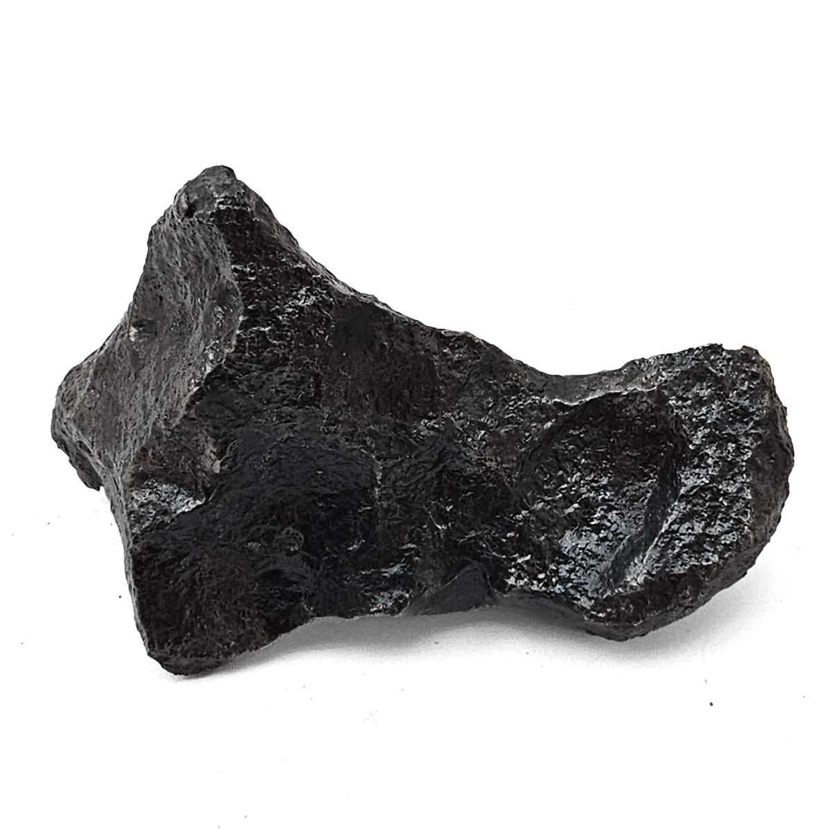 Campo Del Cielo Meteorite Fragment specimen from Campo del Cielo meteorite field, Gran Chaco region, Argentina.