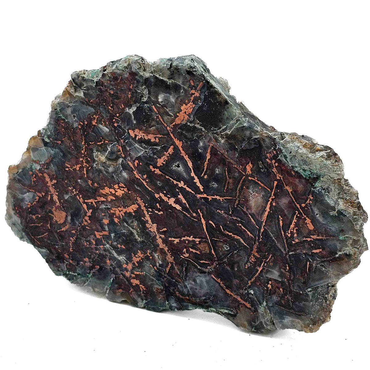 Native Copper in Chrysocolla polished cut face.