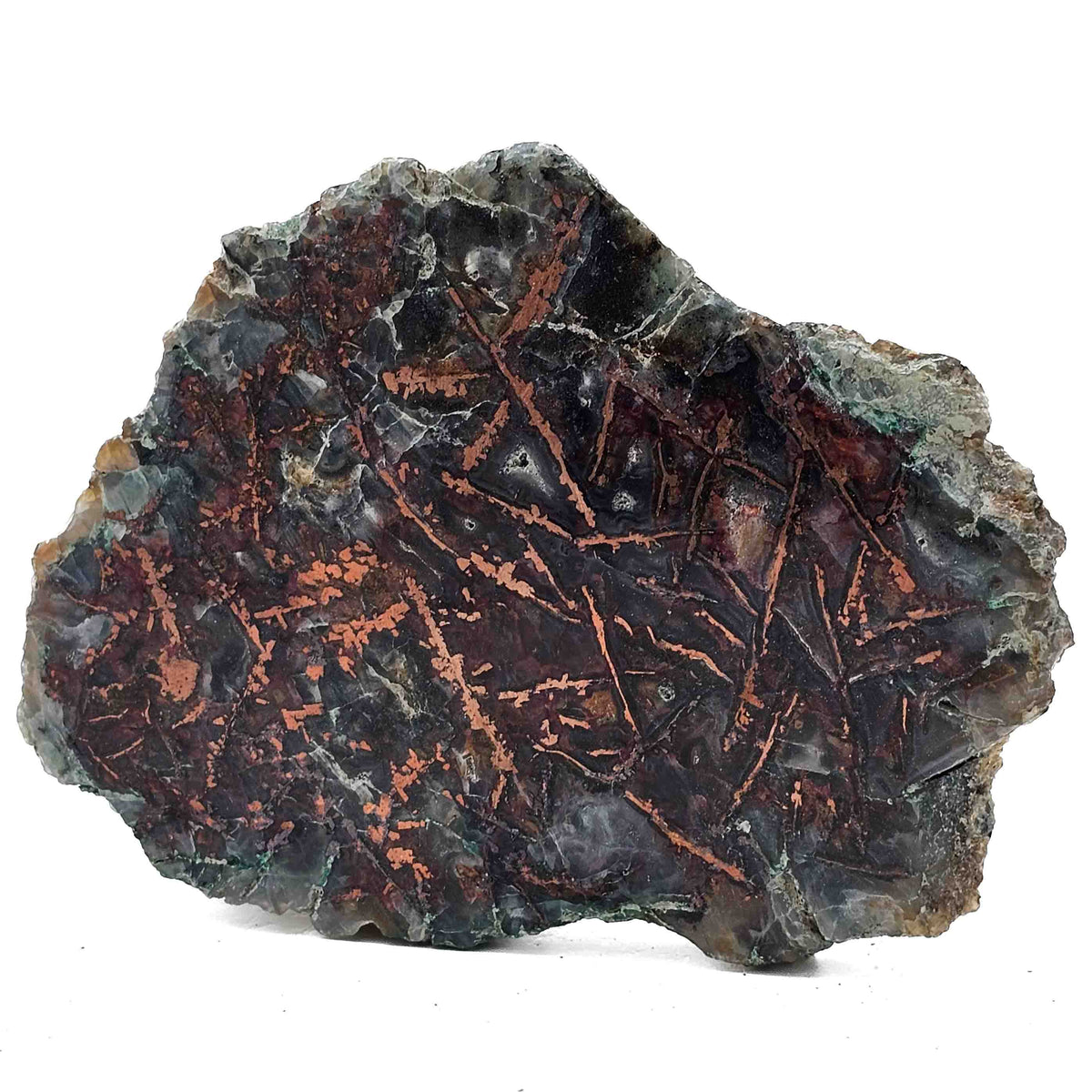 Native Copper in Chrysocolla polished cut face.