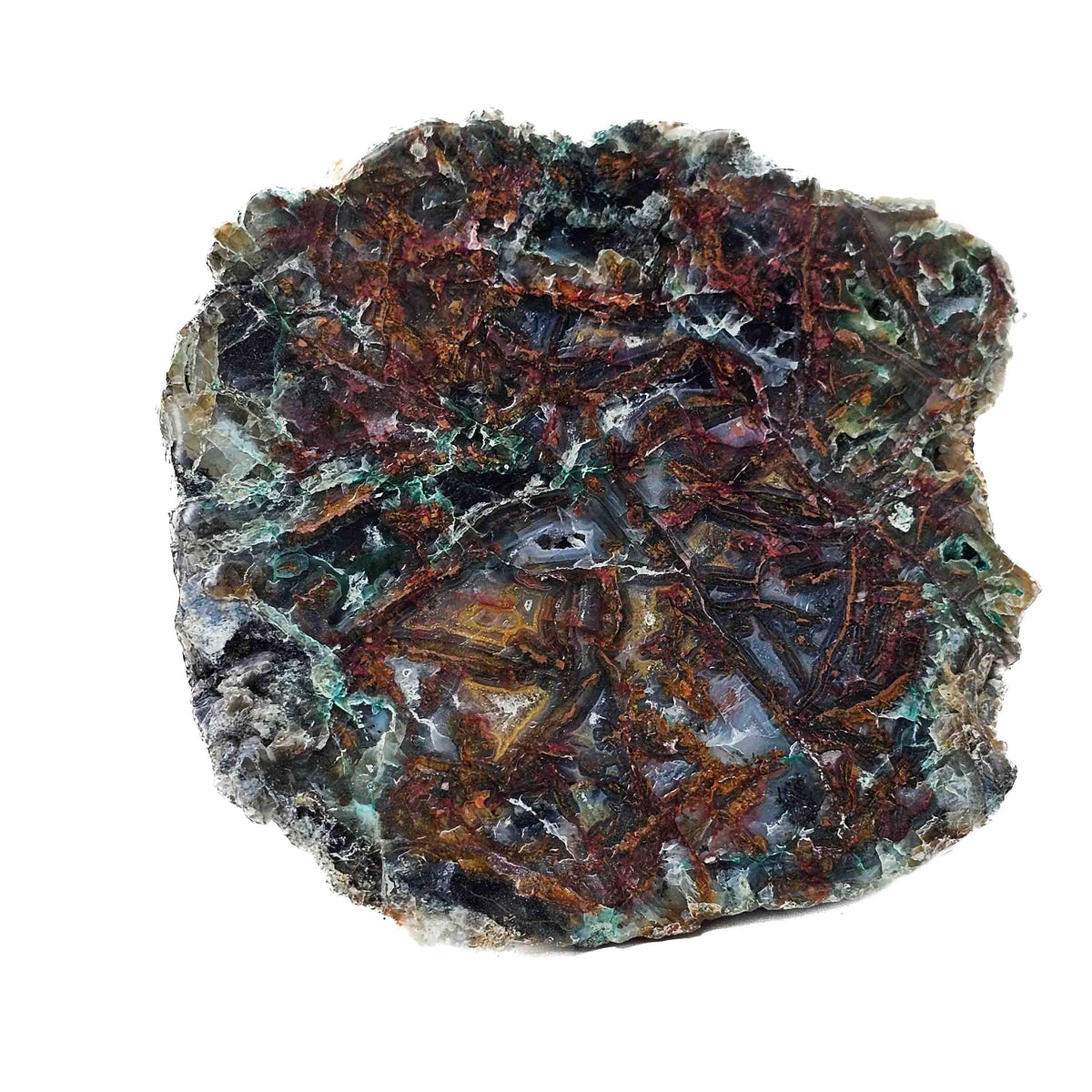 Native Copper in Chrysocolla polished cut face.