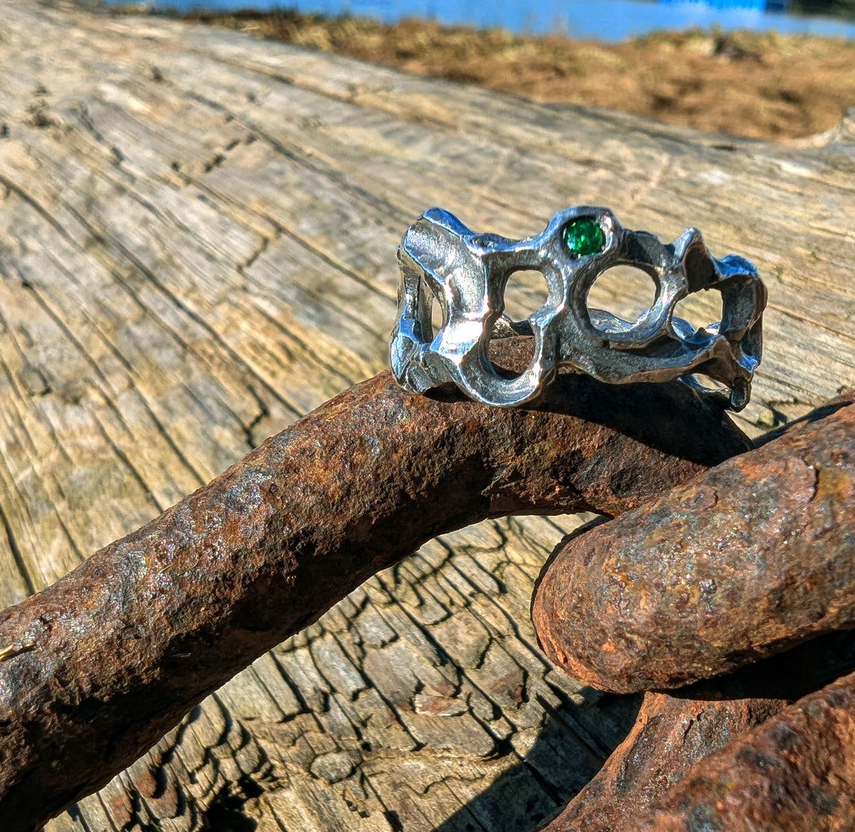 Caturix organic ring in sterling silver with Tsavorite Green Garnet.