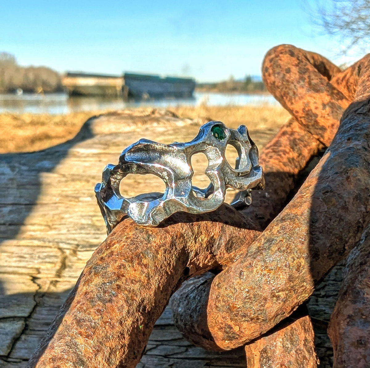 Caturix organic ring in sterling silver with Tsavorite Green Garnet.