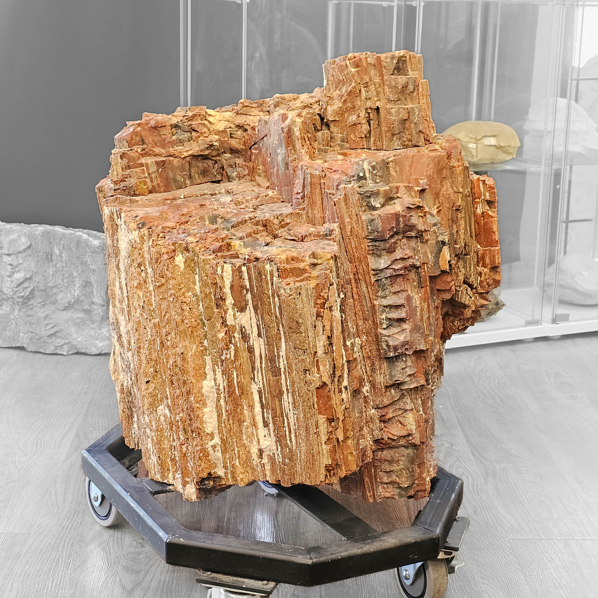 Petrified Wood fossil statement specimen from Petrified Forest, Arizona, USA, Chinle Formation, Late Triassic.