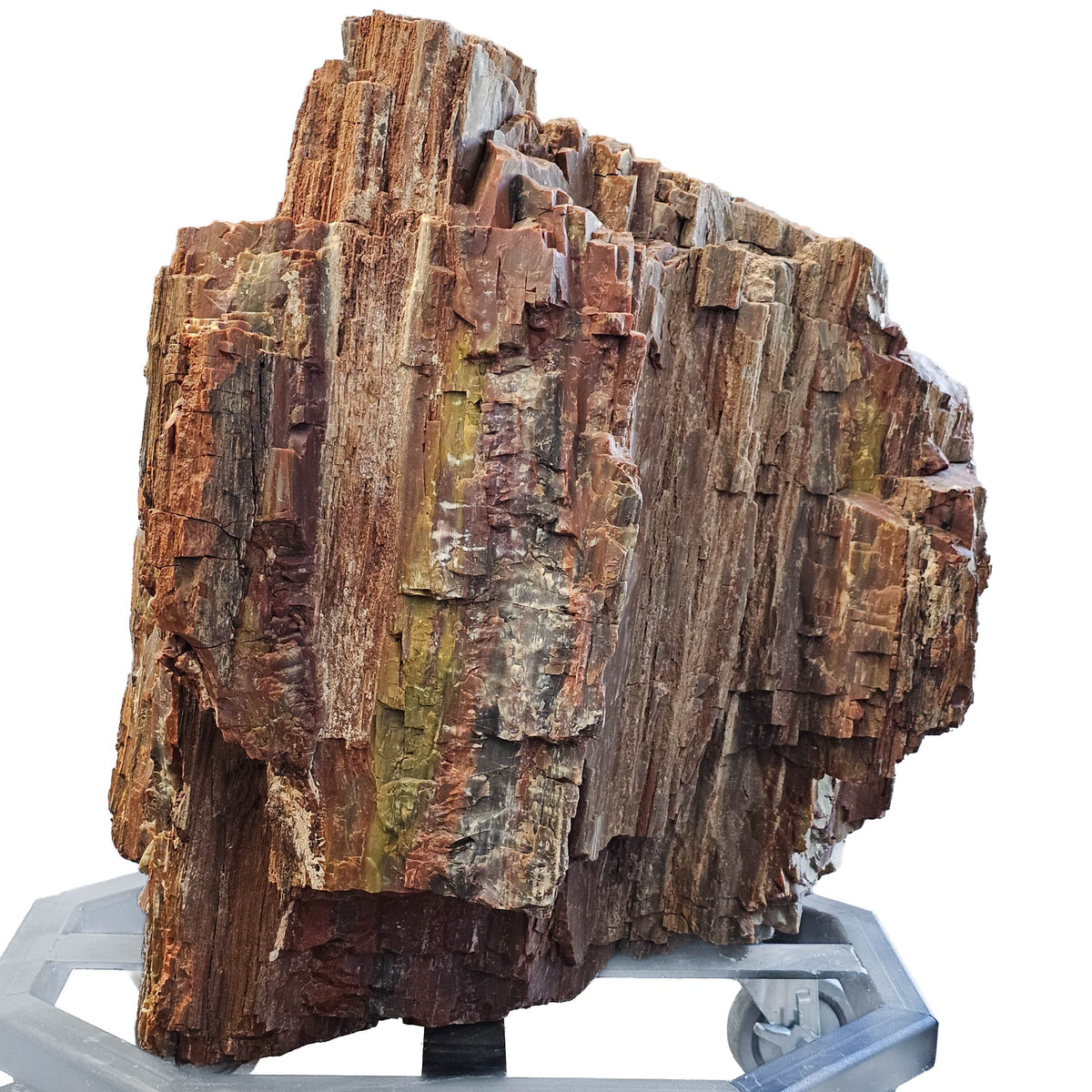 Petrified Wood fossil statement specimen from Petrified Forest, Arizona, USA, Chinle Formation, Late Triassic.