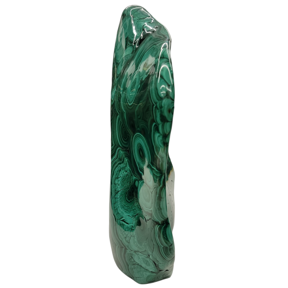 Malachite - Polished - Statement Specimen - Democratic Republic of the Congo