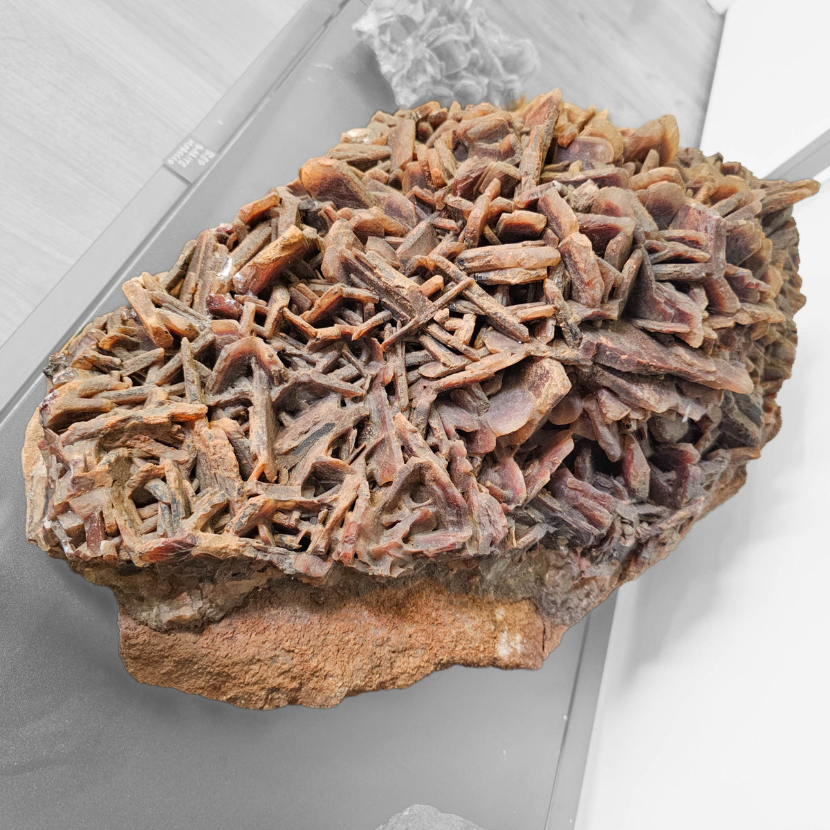 Red Barite - Statement Specimen from Morocco, view 11 of 15
