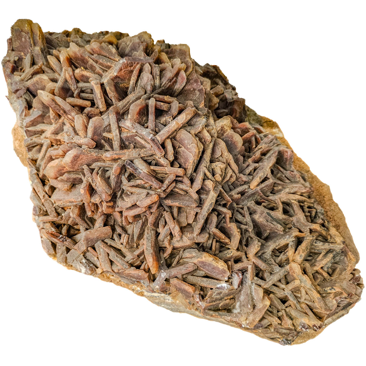 Red Barite - Statement Specimen from Morocco, view 12 of 15