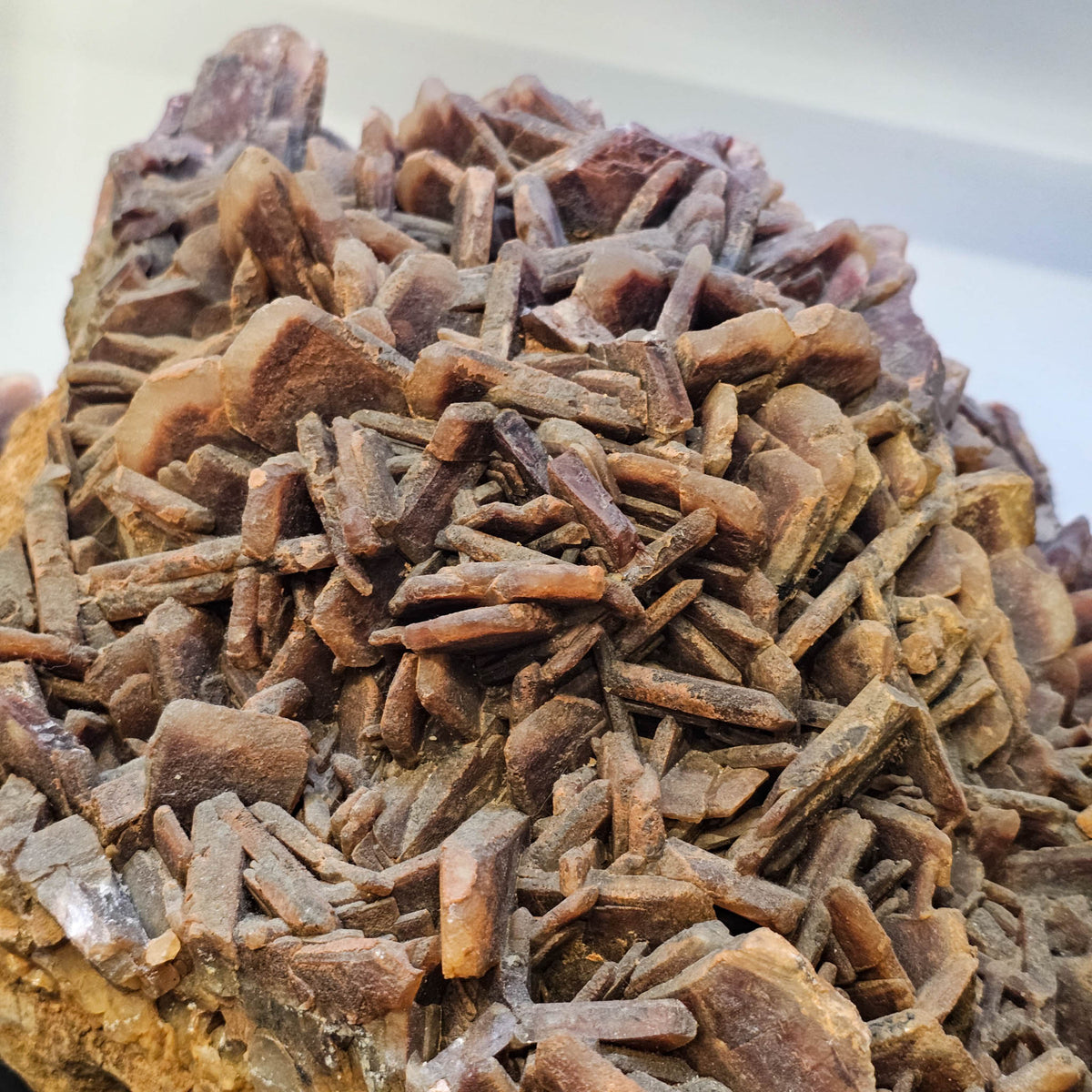 Red Barite - Statement Specimen from Morocco, view 8 of 15