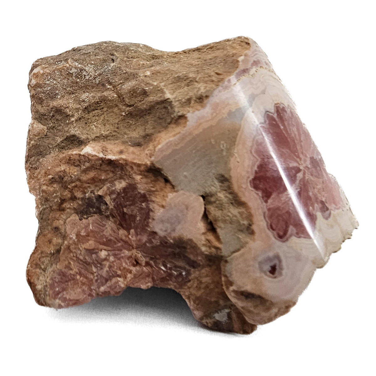 Rhodochrosite with polished face from Uchucchacua Mine, Peru, photo 2 of 14