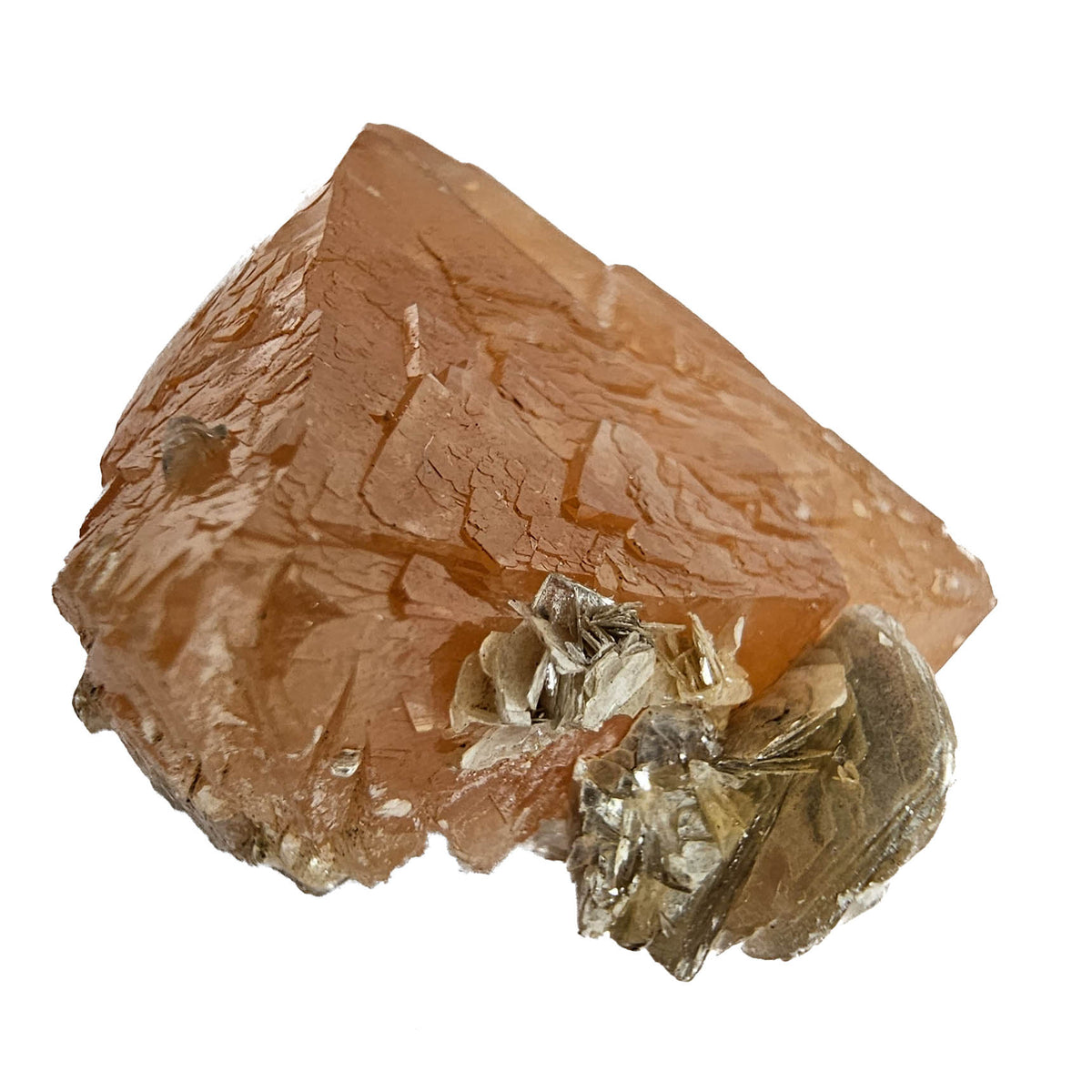 Scheelite on Muscovite specimen from Xuebaoding Mine, Pingwu County, Mianyang, Sichuan, China.