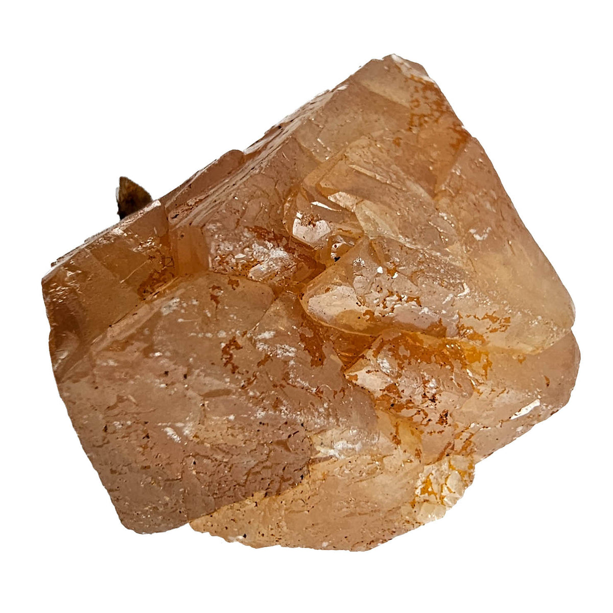 Scheelite on Muscovite specimen from Xuebaoding Mine, Pingwu County, Mianyang, Sichuan, China.