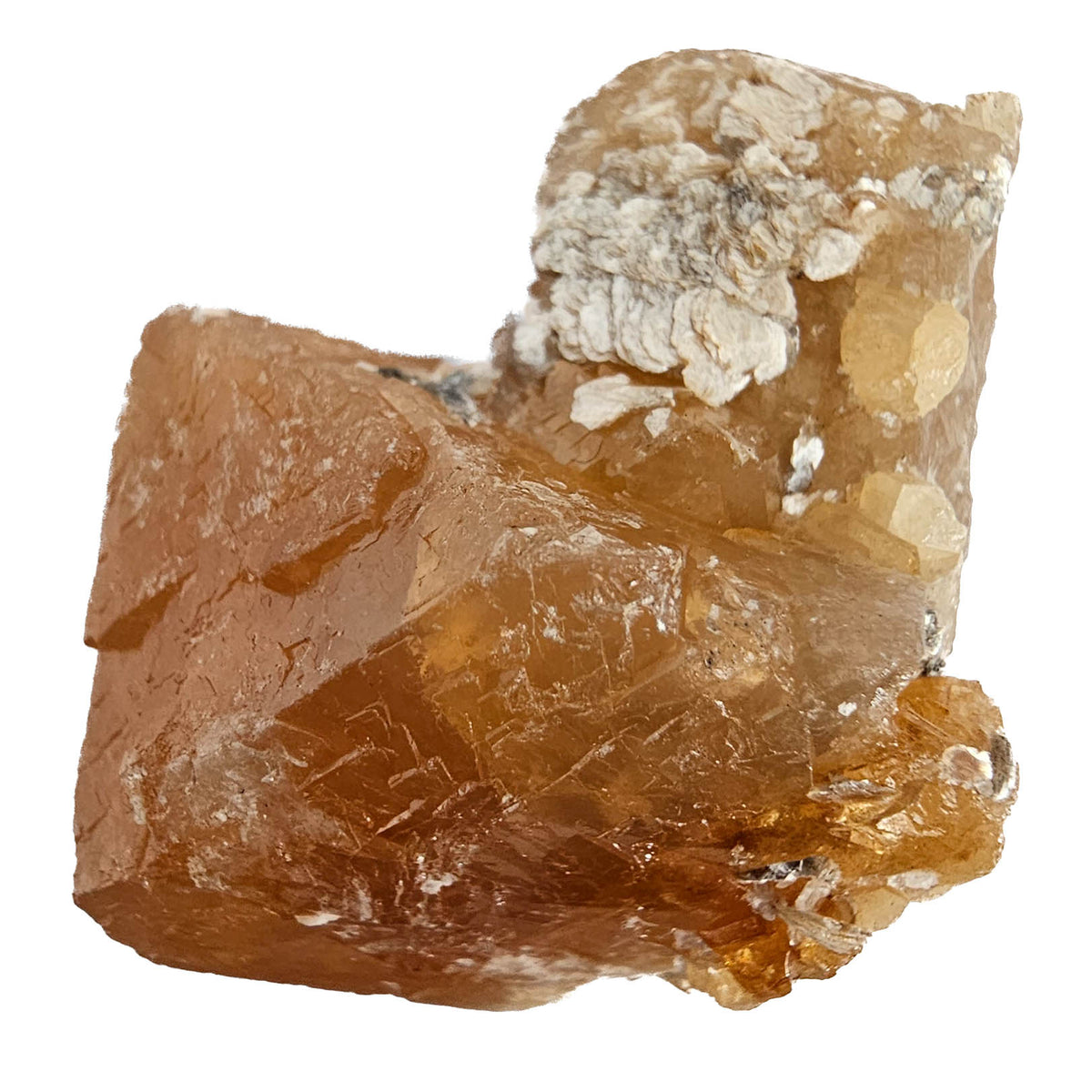 Scheelite on Muscovite specimen from Xuebaoding Mine, Pingwu County, Mianyang, Sichuan, China.