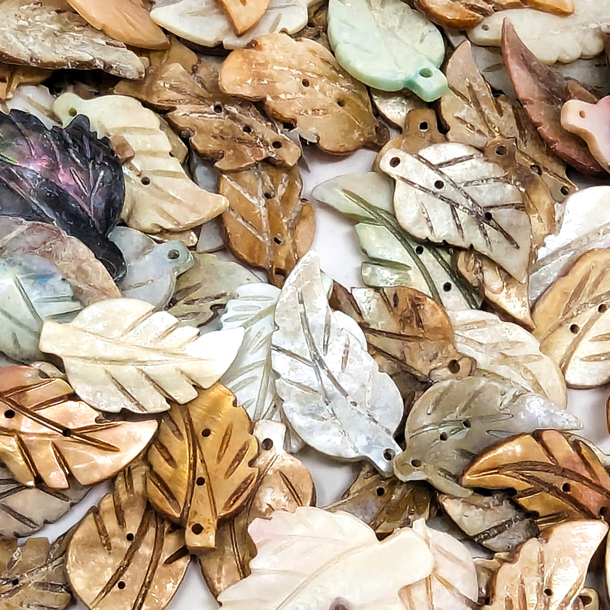 Seashell leaf carving – pile of leaves