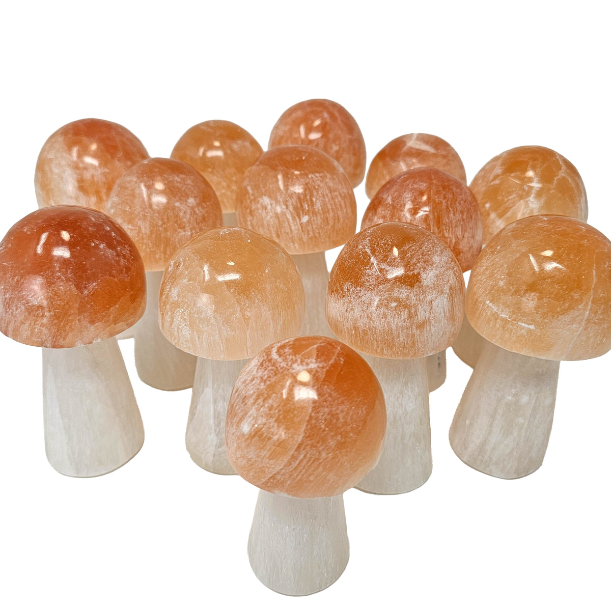 Selenite mushroom, a variety of gypsum, from Morocco.
