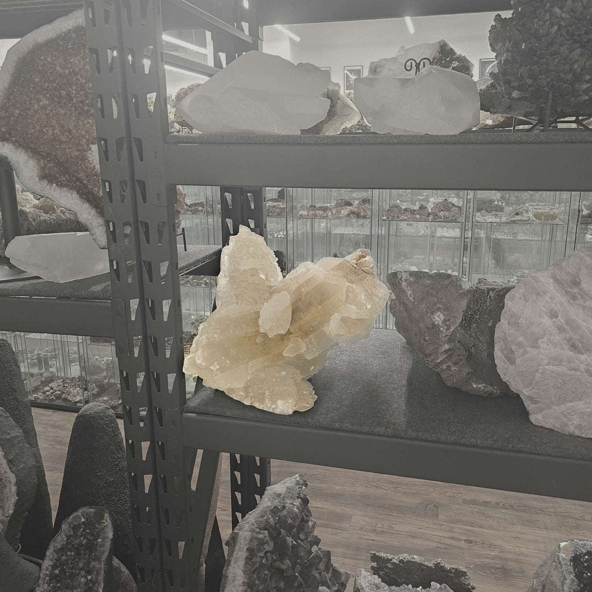 Selenite - Statement Specimen - Mexico - Crown Chakra